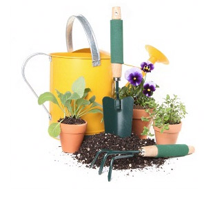 Garden Supplies J M Garden and electrical - Horticulture and Hardwear ...
